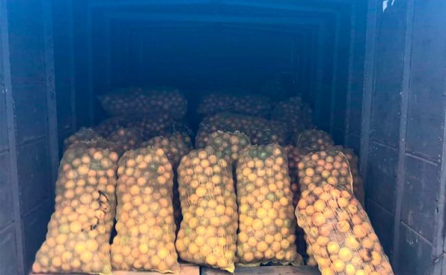 Ayuda-alimentaria-Huixquilucan