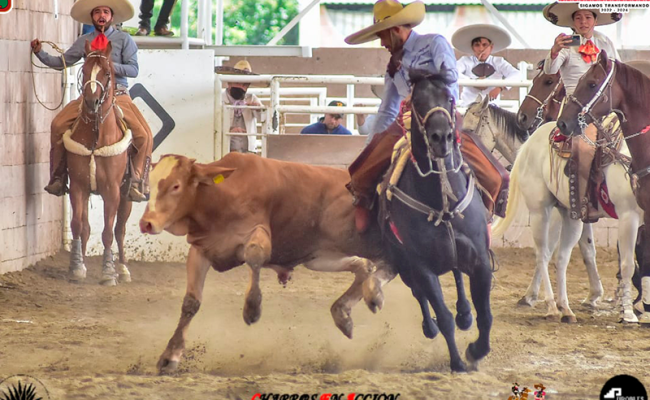 Charros