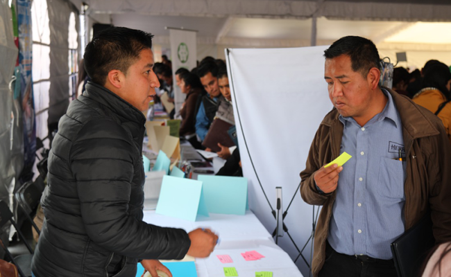FERIA-METEPEC