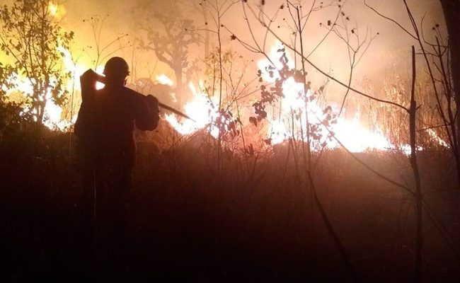 Incendios-ok