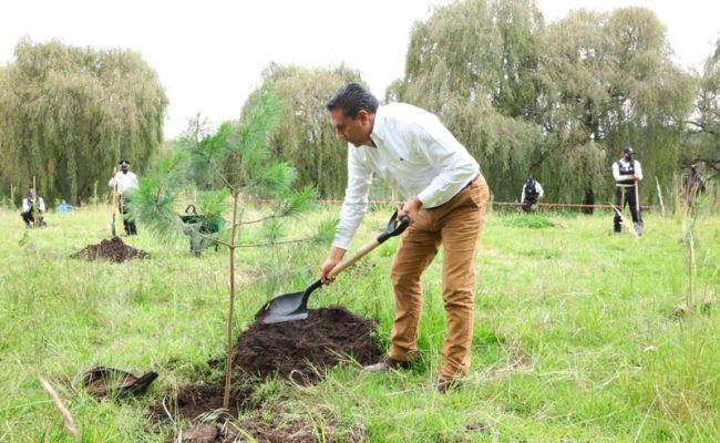 Juan-Rodolfo-reforestacion