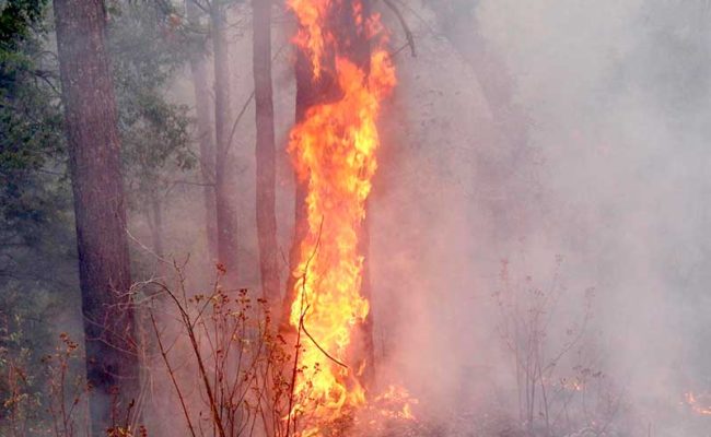 La-Nina-incendios-web