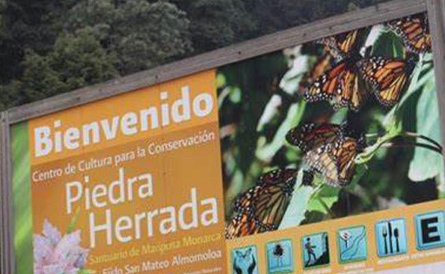 MARIPOSA