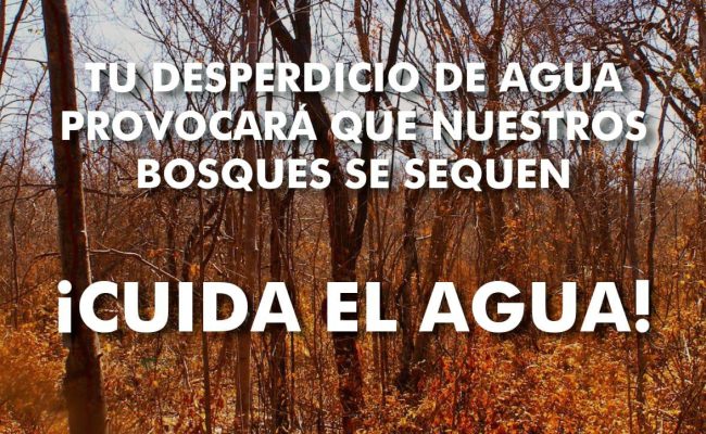 Metepec-Agua