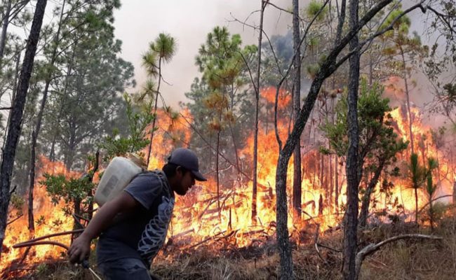 Oaxaca-incendio-web