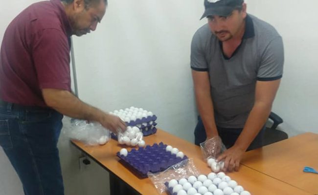 Rayon-Covid-Portada