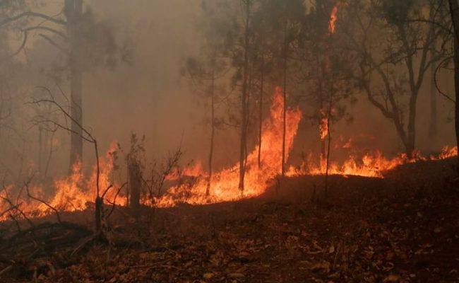 Valle-de-Bravo-incendio-web