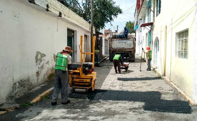bacheo