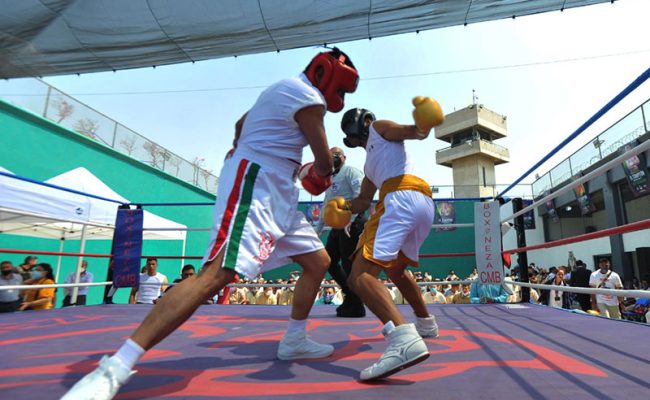 box-en-penales