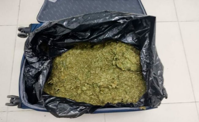 caen-2-por-20-kg-marihuana