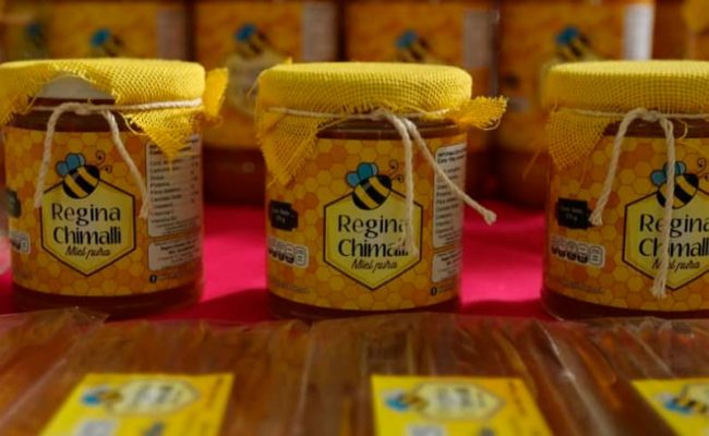 dia-de-las-abejas