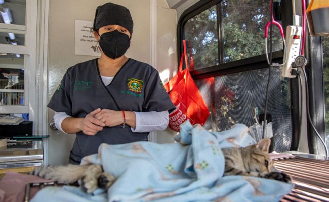 esterilizacion-uaemex
