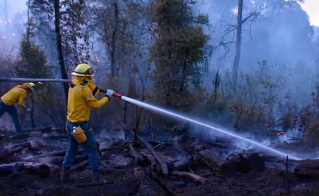 incendio-monte-alto