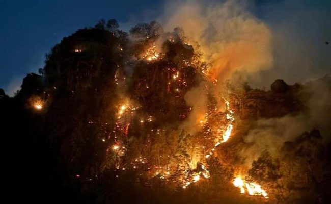 incendio-ocuilan