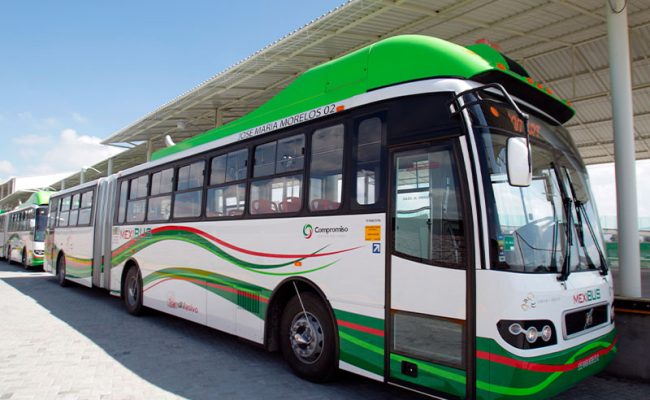 mexibus-fin-de-ano