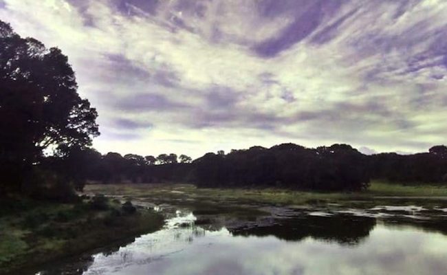 morelos-turismo