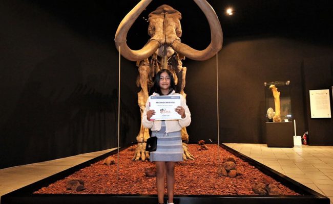 pacha-mamut