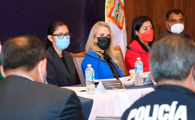 romina-presidenta-seguridad-consejo