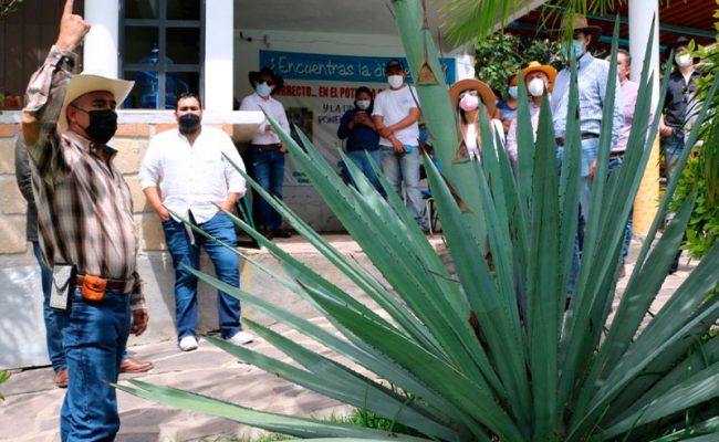 tradicion-mezcalera